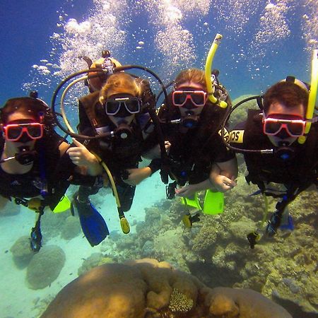 Cairns Holiday Lodge Dış mekan fotoğraf