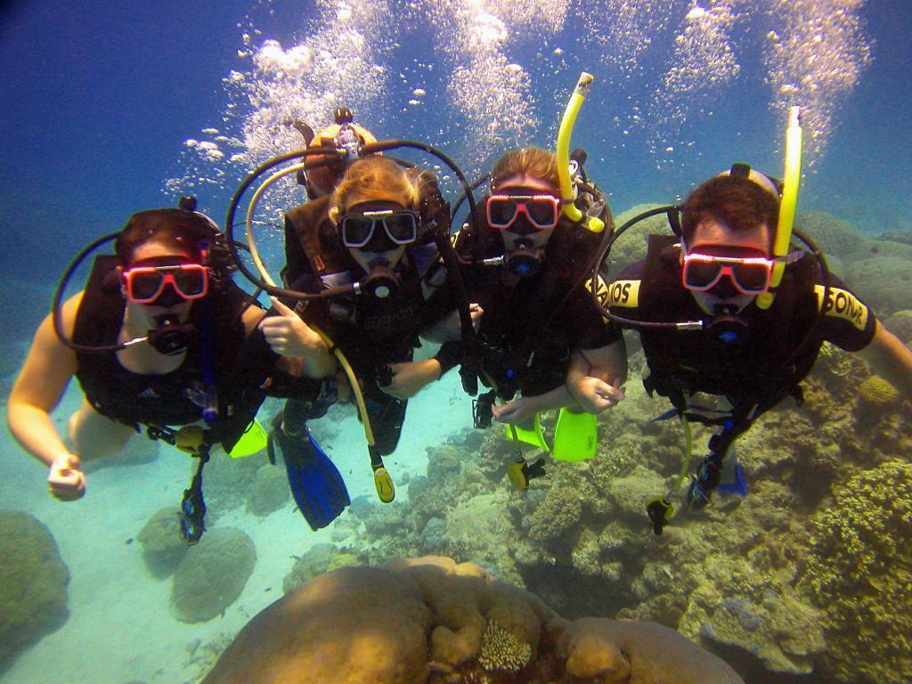 Cairns Holiday Lodge Dış mekan fotoğraf